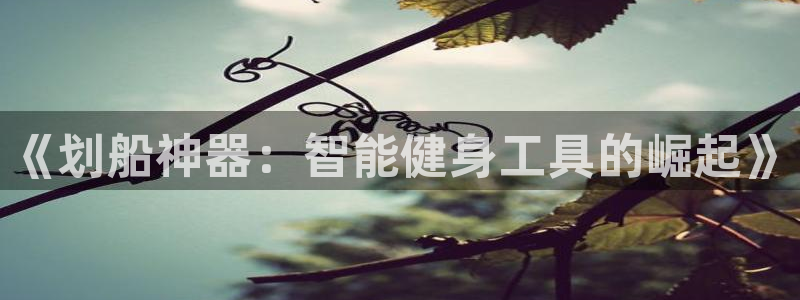 xk星空体育官方正版app官网:《划船神器:智能健身工具的崛