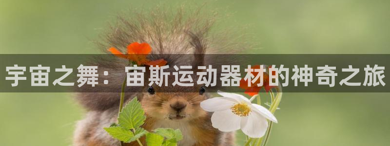 海南xk星空体育官网下载发展怎么样:宇宙之舞:宙斯运动器材的