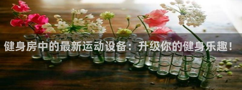 xk星空体育官网下载招商电话号码查询:健身房中的最新运动设备